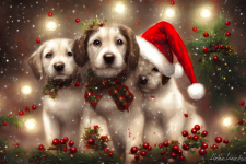 трио рождественских щенков