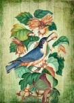Vintage Art Bird Hazelnut