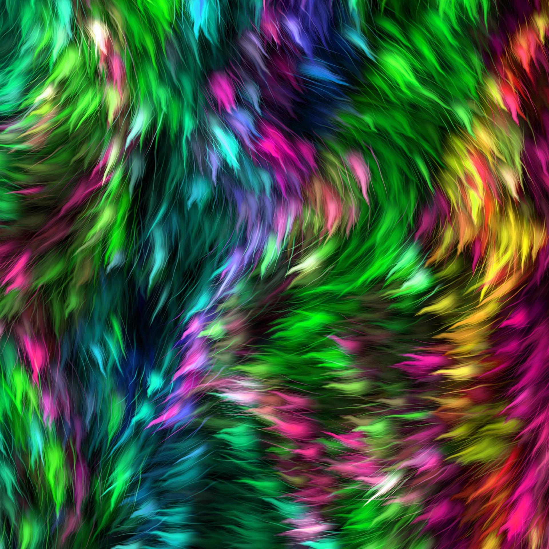 Fur Colorful Abstract Background Free Stock Photo - Public Domain Pictures
