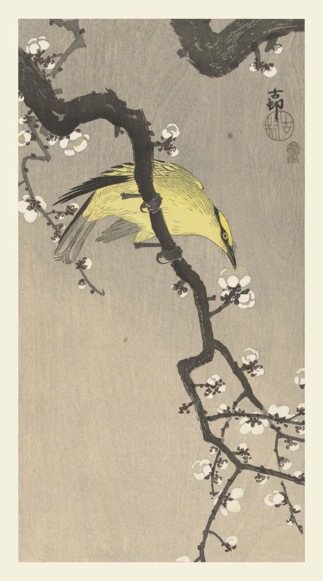 Plum Blossom Japonské Vintage Art