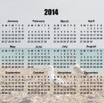 2014 Kalendář Bird moře