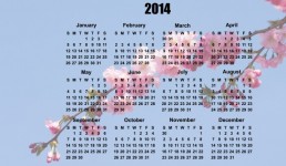 2014 Calendar Blossom flori