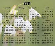 2014 Calendar Flowers Background