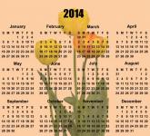 2014 Calendar Tulip Flowers