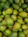 плодов авокадо