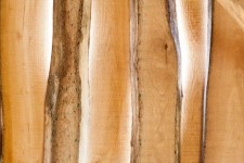 Tablones de madera con retroiluminación