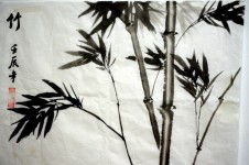 Bamboo Akvarell