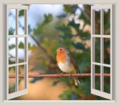 Bird At The Window