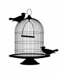 Birds Vintage Birdcage Clipart