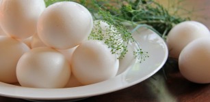 Kom Eieren met Verse Kruiden