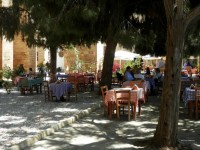 Kawiarnia Nicosia