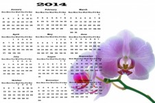 Kalendář 2014 - Květiny