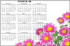 Calendar 2014 - Flowers