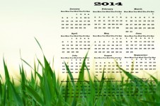 Calendario 2014 - Erba