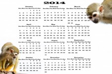 Calendar 2014 - Monkey