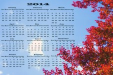 Calendar 2014 - Tree