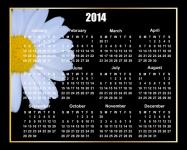 Daisy Flower 2014 Kalendář