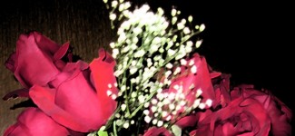 Dark Background & Red Roses