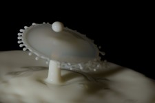 Impatto della goccia di latte 1