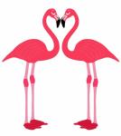 Ptaki Flamingo Love Heart