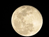 Luna piena a mezzanotte vicino