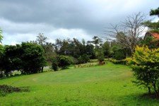 Golf Yard 2