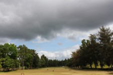 Golf Yard