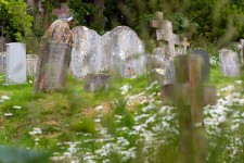 Graveyard Headstones