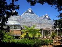 Greenhouse på Kirstenbosch
