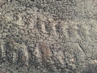 Textura solului