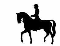 Horse Rider Silhueta Clipart