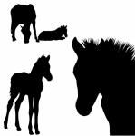 Horse Silhouettes Clipart