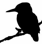 Kingfisher Bird Silhouette Clipart