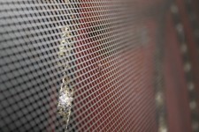 Capcana țânțar de fier net