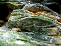 Moss And Lichen On Rocks