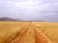 Estrada de terra vermelha namibiano
