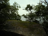 On The Lake 1