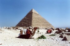 Pittura di piramide e cammello