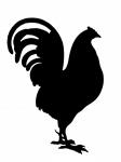 Rooster Svart Silhouette Clipart
