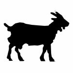 Silhouette Female Goat