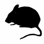 Silhouette Maus sitzt