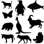 Silhouettes Mostly Animals