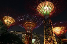 Cingapura céu árvore visão noturna