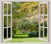 Spring Garden Window Frame View