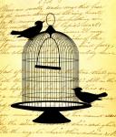 Vintage Vogels Script Achtergrond