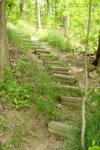 Wooden steps up hill