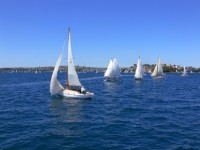 Yachts no porto de Sydney