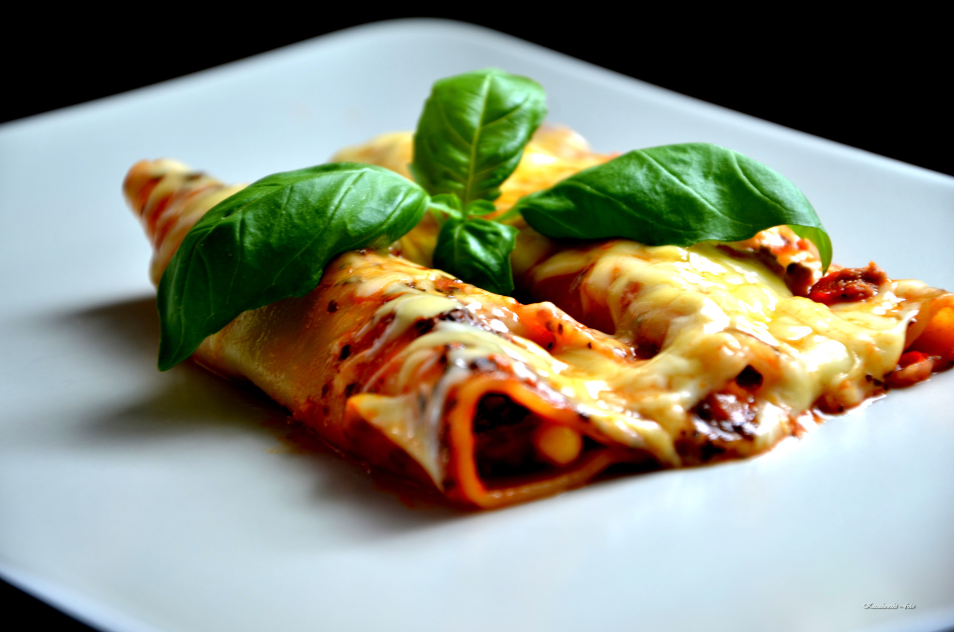 Cannelloni Free Stock Photo - Public Domain Pictures