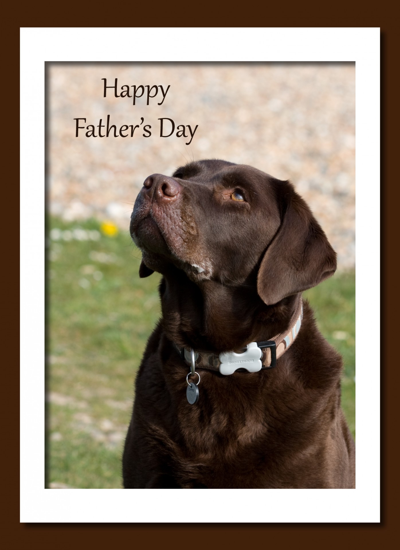 What To Write In A Father S Day Card From The Dog