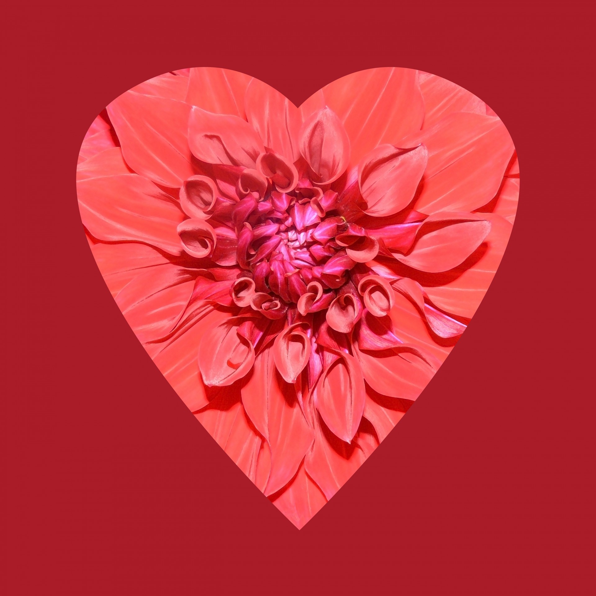 Flower Heart Red